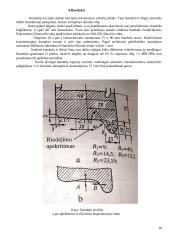 Šilumvežių aširačių konstrukcijos 10 puslapis