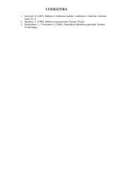 Šiuolaikiniai mokymo(si) būdai ir aplinka 6 puslapis