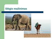 Pristatymas apie slėgį 9 puslapis