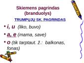 Ilgųjų ir trumpųjų skiemenų kirčiavimo taisyklės 4 puslapis