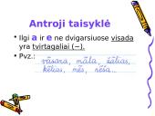 Ilgųjų ir trumpųjų skiemenų kirčiavimo taisyklės 7 puslapis