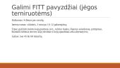 FITT principas ir jo panaudojimas 17 puslapis