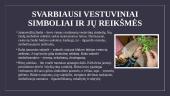 Vestuvių tradicijos ir apeigos 8 puslapis