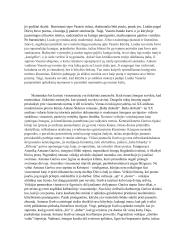 Menininko portretas lietuvių literatūroje 2 puslapis