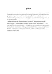 Šviečiamasis amžius. V. Gėtė "Jaunojo Verterio kančios" 3 puslapis