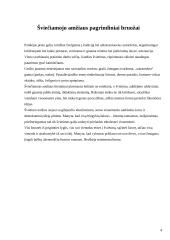 Šviečiamasis amžius. V. Gėtė "Jaunojo Verterio kančios" 4 puslapis