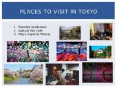 Directions and tips for a person wanting to visit Tokyo 8 puslapis