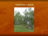 Jono Biliūno gyvenimas ir kūryba 1879-1907 12 puslapis