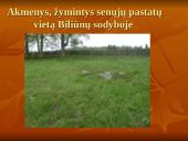 Jono Biliūno gyvenimas ir kūryba 1879-1907 13 puslapis