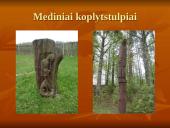 Jono Biliūno gyvenimas ir kūryba 1879-1907 14 puslapis