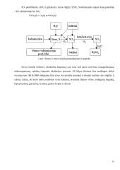 Taikomoji aplinkosauga 15 puslapis