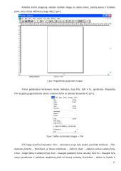 Taikomoji aplinkosauga 17 puslapis