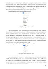 Taikomoji aplinkosauga 18 puslapis