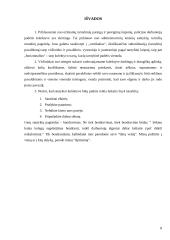 Tarnybinis pareigūnų etiketas 8 puslapis