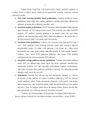 Tarptautinės ekonomikos kontrolinis namų darbas 4 puslapis