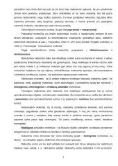 Mokesčių konspektas 3 puslapis