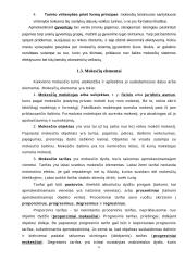 Mokesčių konspektas 5 puslapis