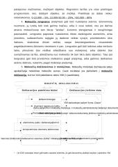 Mokesčių konspektas 6 puslapis