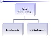 Audito samprata, reikšmė, tikslai  11 puslapis