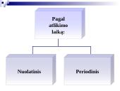 Audito samprata, reikšmė, tikslai  12 puslapis