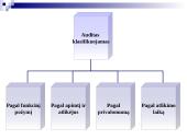 Audito samprata, reikšmė, tikslai  8 puslapis