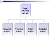 Audito samprata, reikšmė, tikslai  9 puslapis