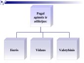 Audito samprata, reikšmė, tikslai  10 puslapis