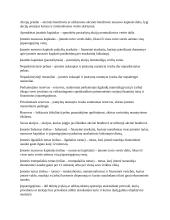 Finansinės apskaitos sąvokos 2 puslapis