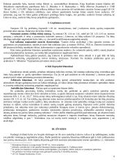 Idealios bylos sprendimo etapai 4 puslapis