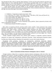 Idealios bylos sprendimo etapai 5 puslapis