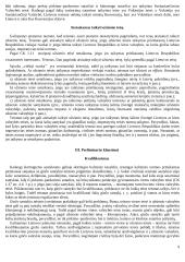 Idealios bylos sprendimo etapai 9 puslapis