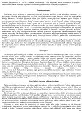 Idealios bylos sprendimo etapai 10 puslapis