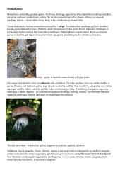 Ekologija. Konspektas 11 puslapis