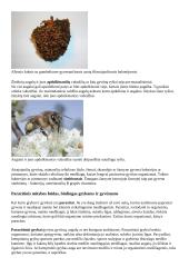 Ekologija. Konspektas 12 puslapis