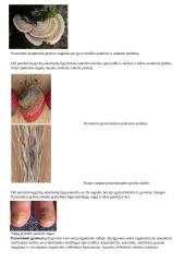 Ekologija. Konspektas 13 puslapis