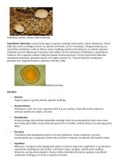 Ekologija. Konspektas 15 puslapis