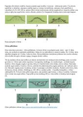 Ekologija. Konspektas 4 puslapis