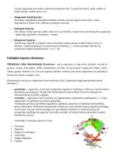 Ekologija. Konspektas 6 puslapis