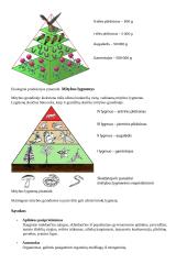 Ekologija. Konspektas 8 puslapis