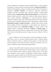 Tarptautinės organizacijos, jų tipai ir veikla 11 puslapis