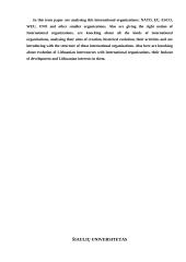 Tarptautinės organizacijos, jų tipai ir veikla 14 puslapis