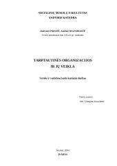 Tarptautinės organizacijos, jų tipai ir veikla 15 puslapis