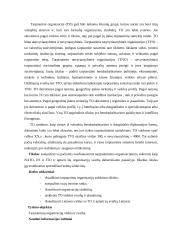 Tarptautinės organizacijos, jų tipai ir veikla 16 puslapis