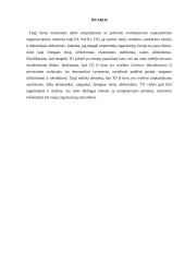 Tarptautinės organizacijos, jų tipai ir veikla 18 puslapis