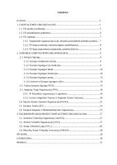 Tarptautinės organizacijos, jų tipai ir veikla 19 puslapis