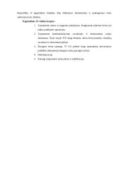 Tarptautinės organizacijos, jų tipai ir veikla 3 puslapis