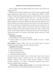 Tarptautinės organizacijos, jų tipai ir veikla 6 puslapis