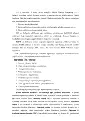 Tarptautinės organizacijos, jų tipai ir veikla 10 puslapis