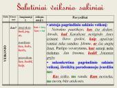 Šalutinių sakinių rūšys. Skaidrės 2 puslapis