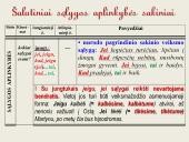 Šalutinių sakinių rūšys. Skaidrės 12 puslapis